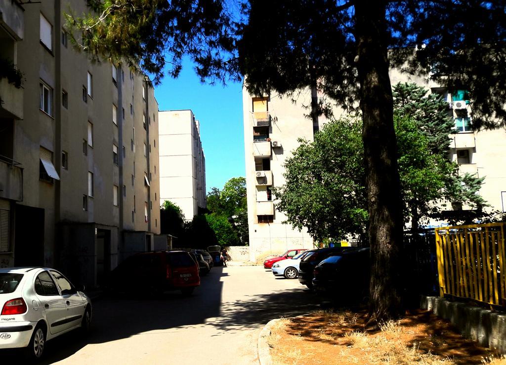 David Apartment Zadar